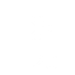 H20 esports